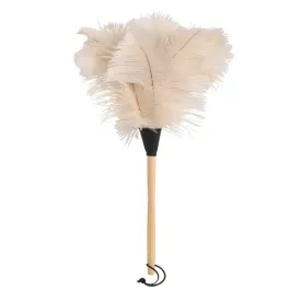 REDECKER PLUMEAU EN  468809